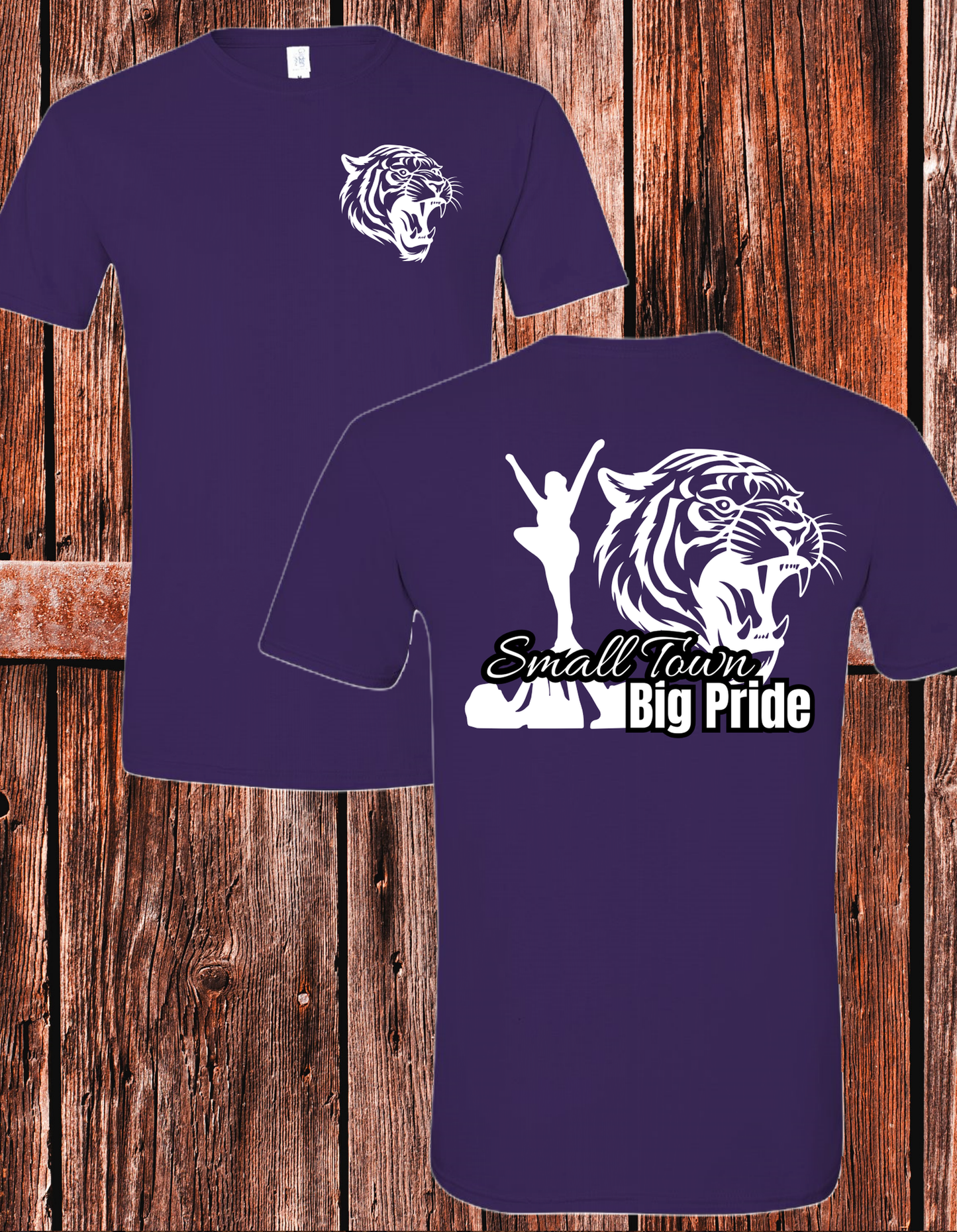 Saluda Cheer Pride T Shirt*
